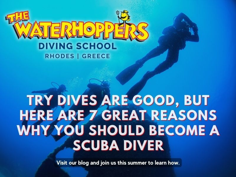 Try Dives Are Good, But Here Are 7 Great Reasons Why You Should Become A Scuba Diver